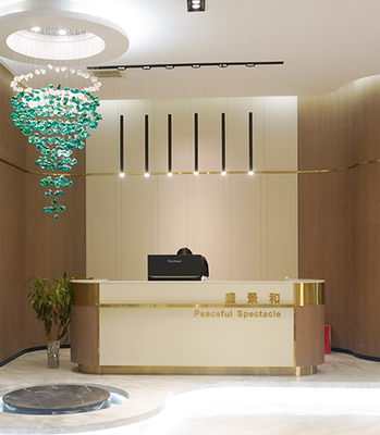 盛景健康產業集團新官網正式上線 數字化升級引領健康產業新未來