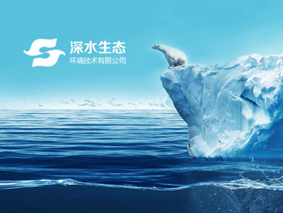 網站建設 從規(guī)劃到上線的全面指南